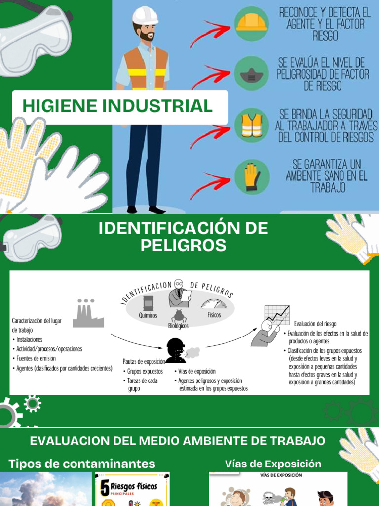 Higiene Industrial Y Ergonom a Laboral PDF Higiene Ocupacional