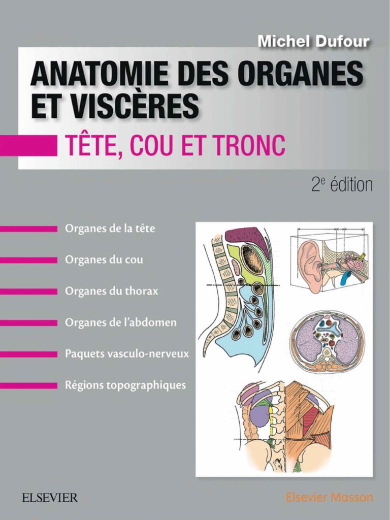 Anatomie des organes : tête, cou, tronc | PDF | Système vestibulaire ...