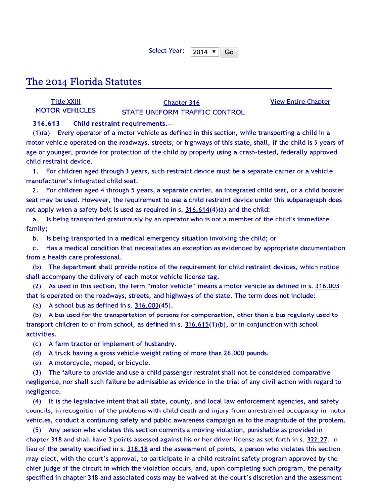 Florida Child Safe Restraint Law | PDF