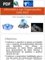 Informatica nas organizações