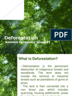 Deforestation: Kamilah Fernandez Group#1