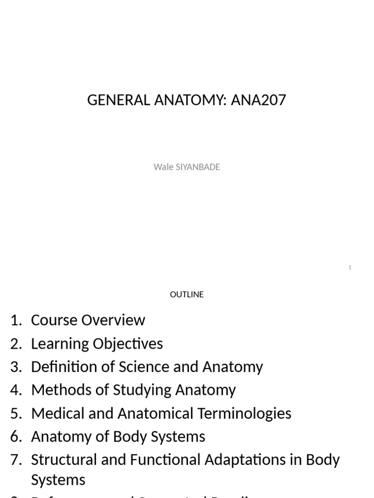 Human Anatomy Course Overview | PDF | Lymphatic System | Anatomical ...
