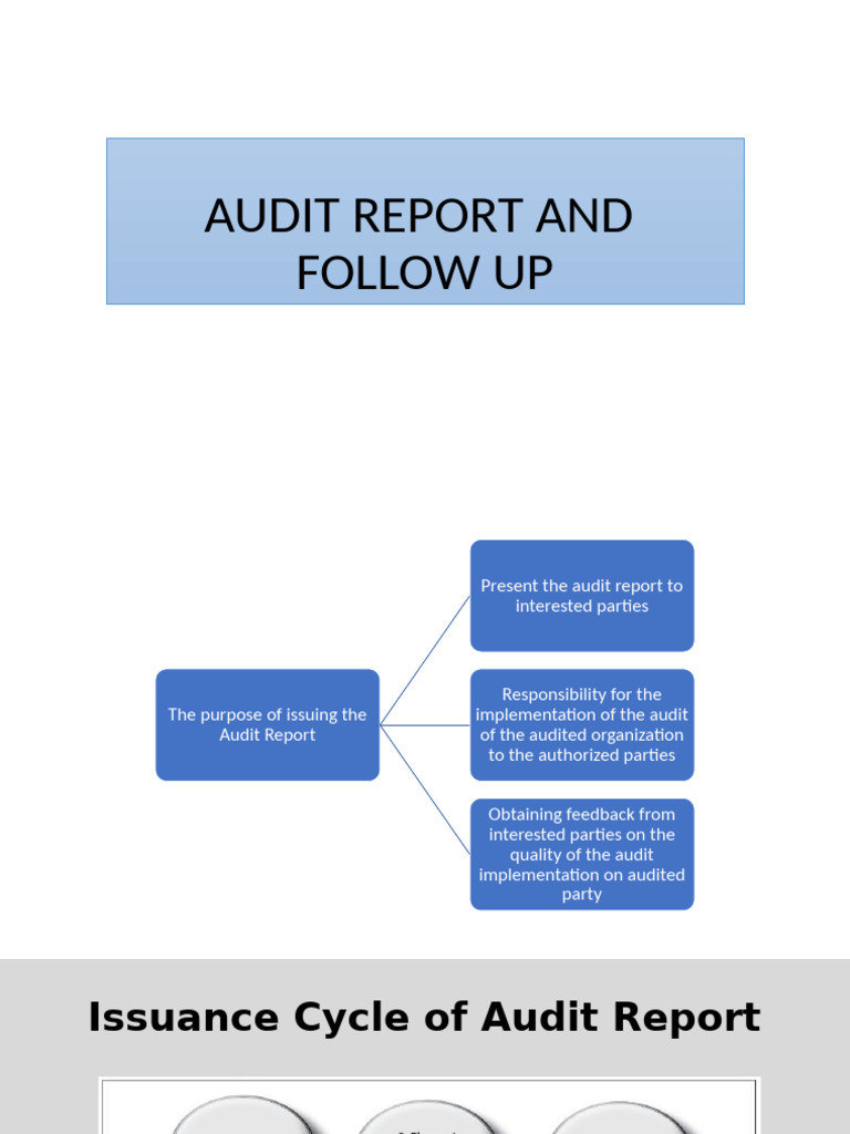 Comprehensive Audit Report Guidelines | PDF | Auditor's Report | Audit