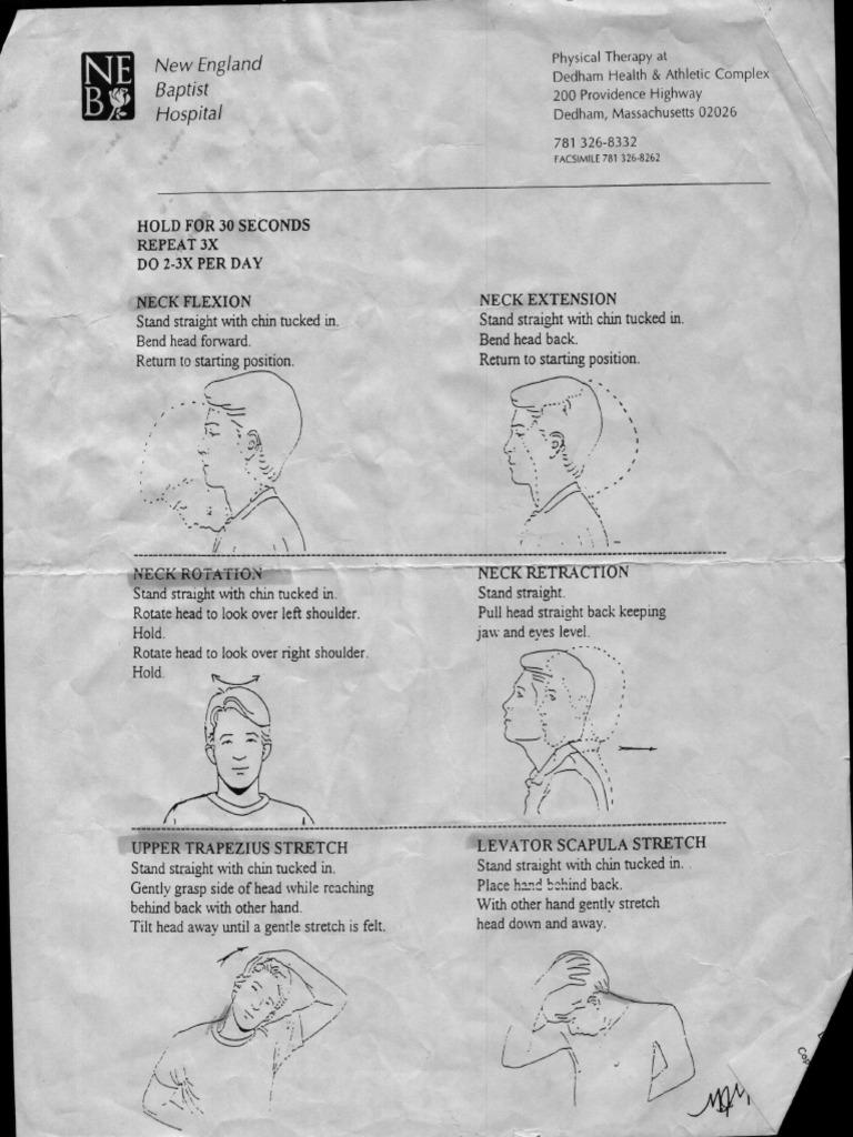 Neck Stretch | PDF