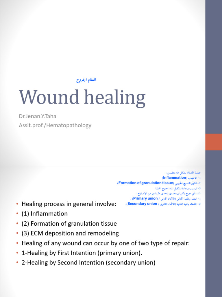 6 - Wound Healing | PDF