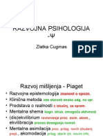 Psih. Razvoj - Razvojna Psihologija + Lastni Komentar