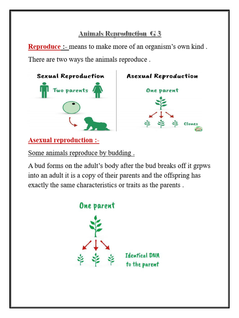 Animal Reproduction and Inherited Traits | PDF | Reproduction | Predation