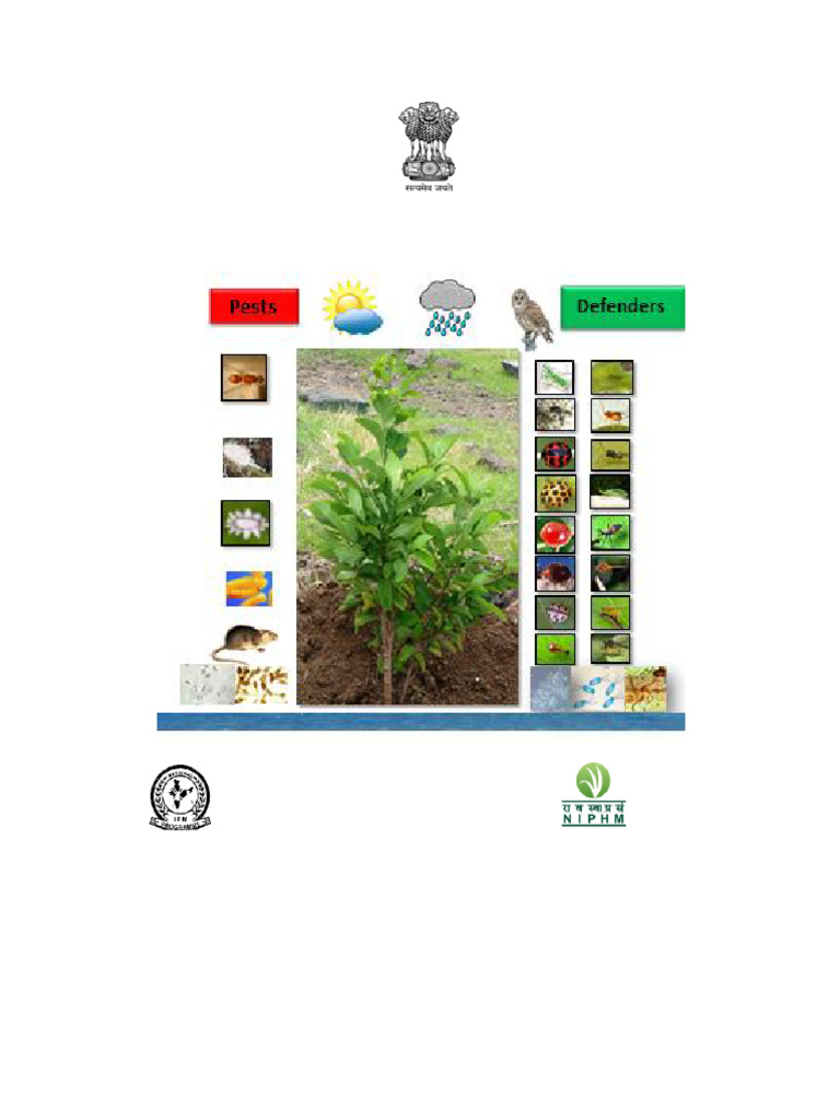 AESA IPM Guide for Custard Apple | PDF | Biological Pest Control ...