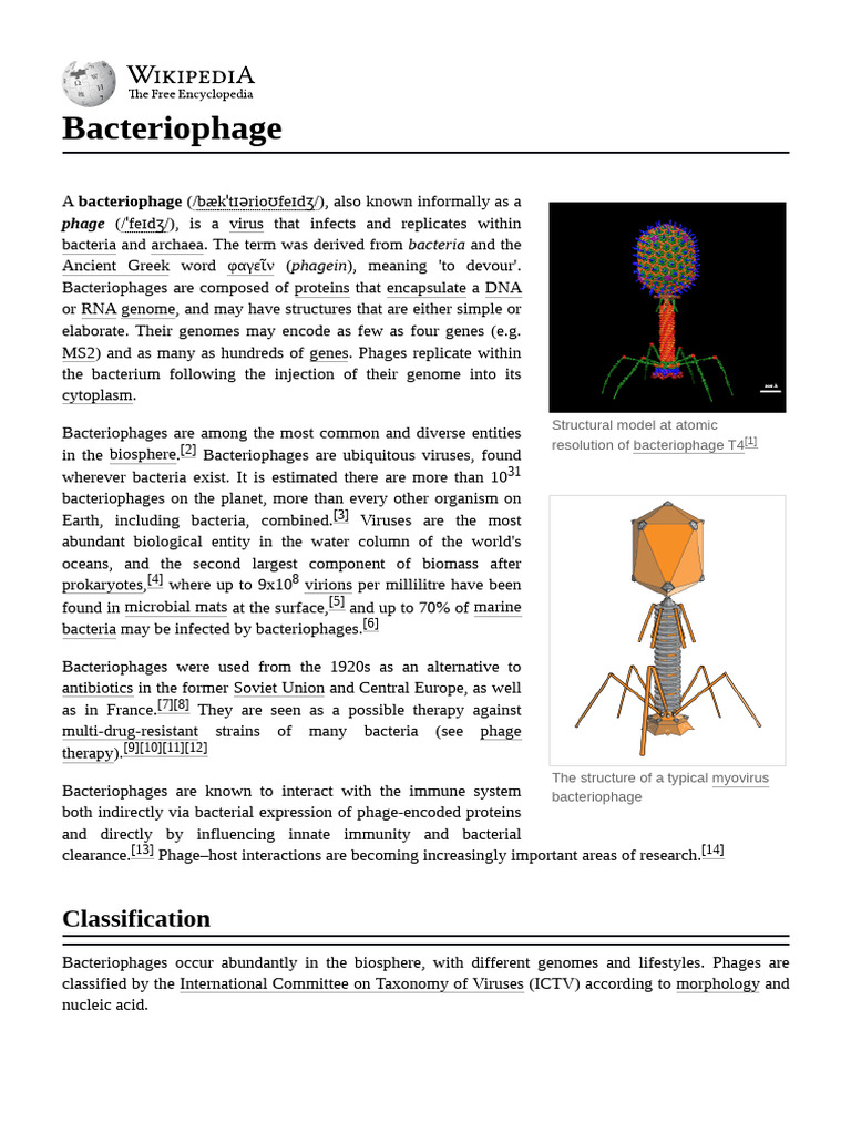 Overview of Bacteriophages and Their Roles | PDF | Bacteriophage | Virus