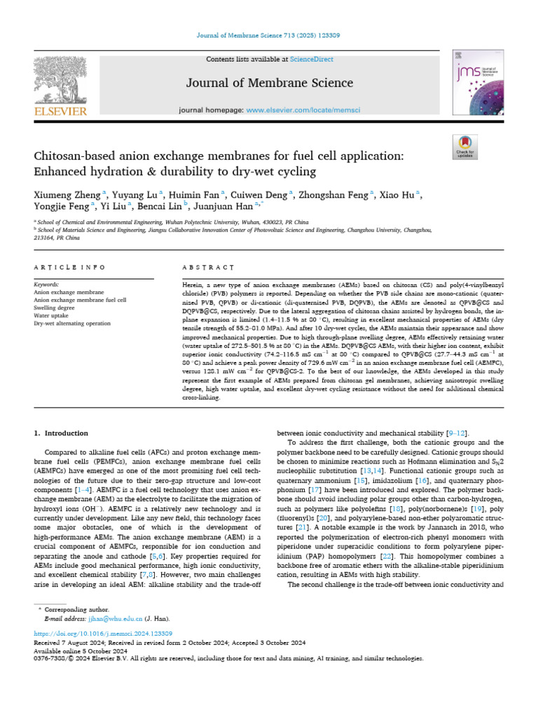 Chitosan Anion Exchange Membranes for AEMFC | PDF | Salt (Chemistry ...