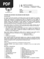 Pratica Fatores Que Afetam a Velocidade