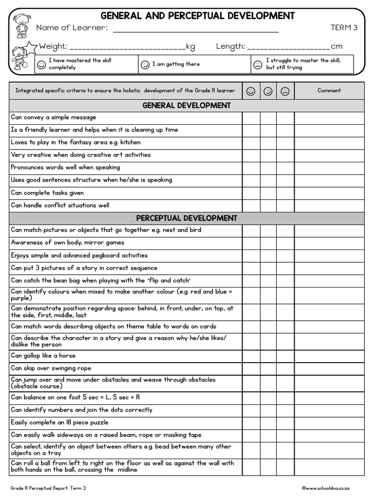 Grade R Perceptual Report Term 3 ENG | PDF