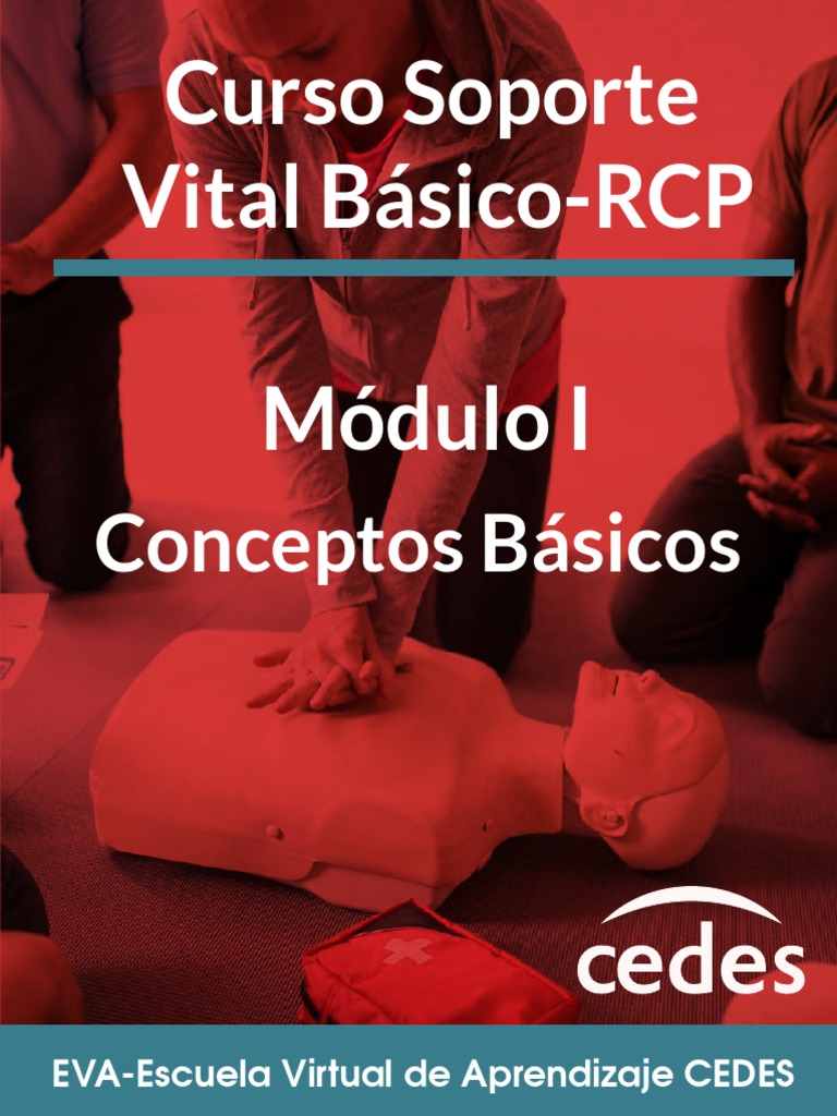 Curso RCP: Fundamentos y Bioseguridad | PDF | Reanimación ...