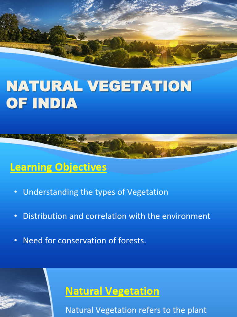 Natural Vegetation Types in India | PDF | Trees | Forests