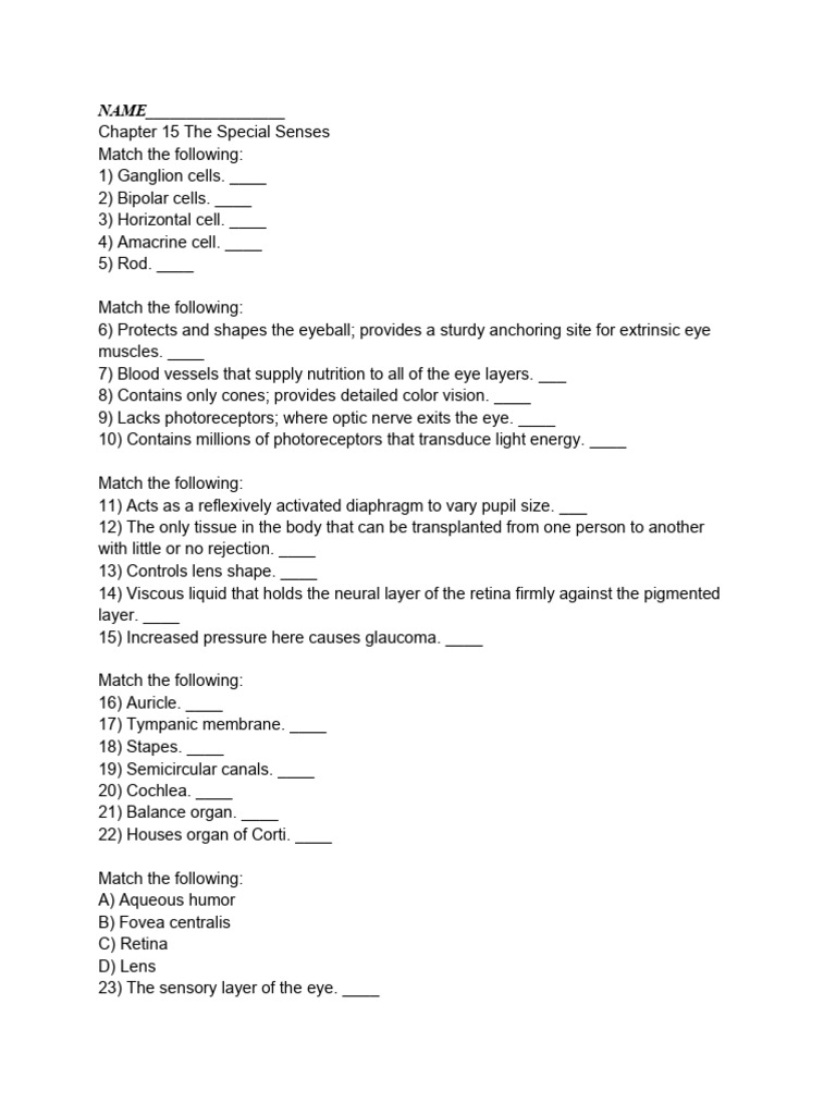 Chapter 15 A&P Test | PDF | Ear | Visual System