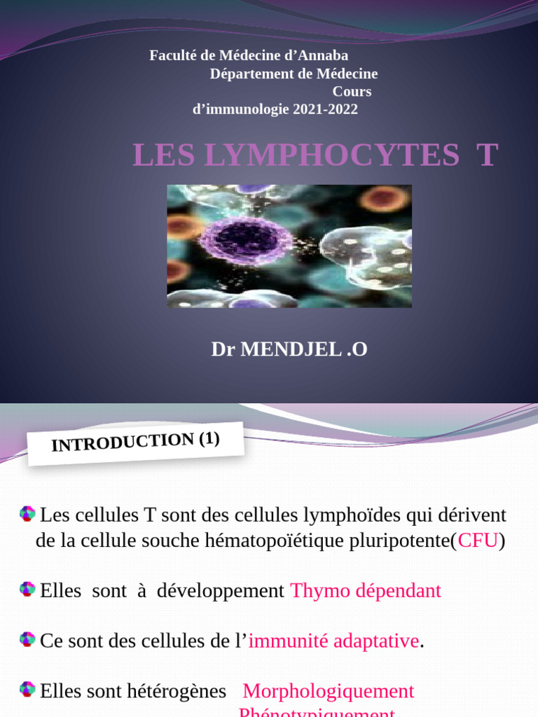 Lymphocytes T : Ontogenèse et Fonctionnement | PDF | Lymphocyte T ...