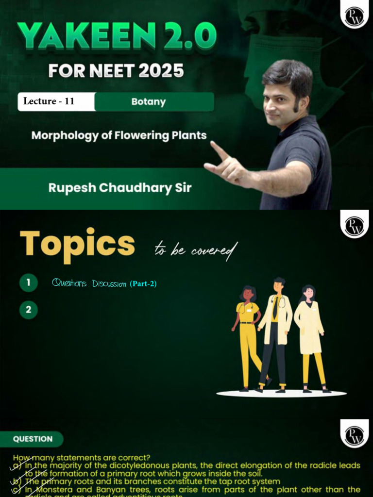 Morphology of Flowering Plants 11 - Class Notes - Yakeen NEET 2.0 2025 ...