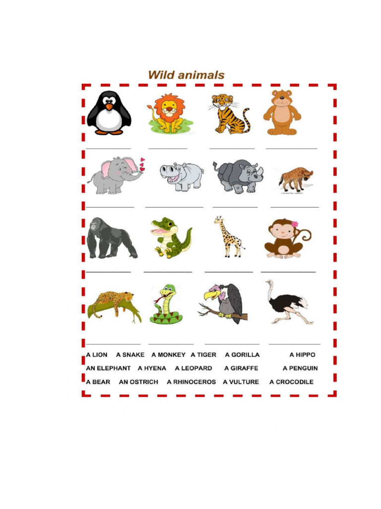 Animals | PDF