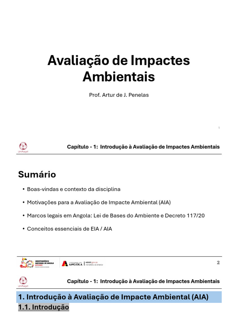 Apresentação_1. EAIA | PDF | Declaração de Impacto Ambiental | Angola