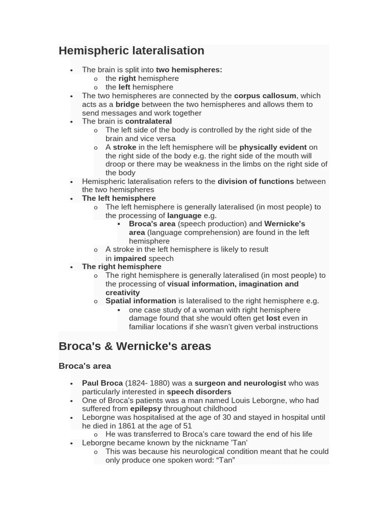 Understanding Hemispheric Lateralisation | PDF | Lateralization Of ...