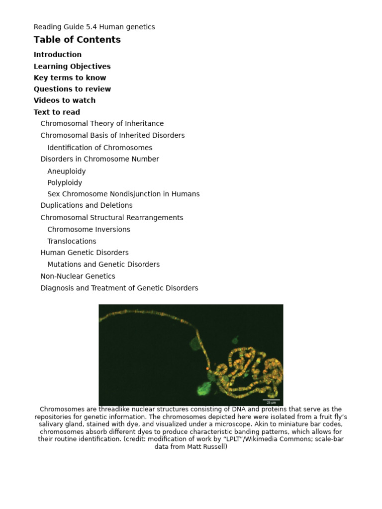 Human Genetics Overview and Disorders | PDF | Genetic Disorder | Genetics