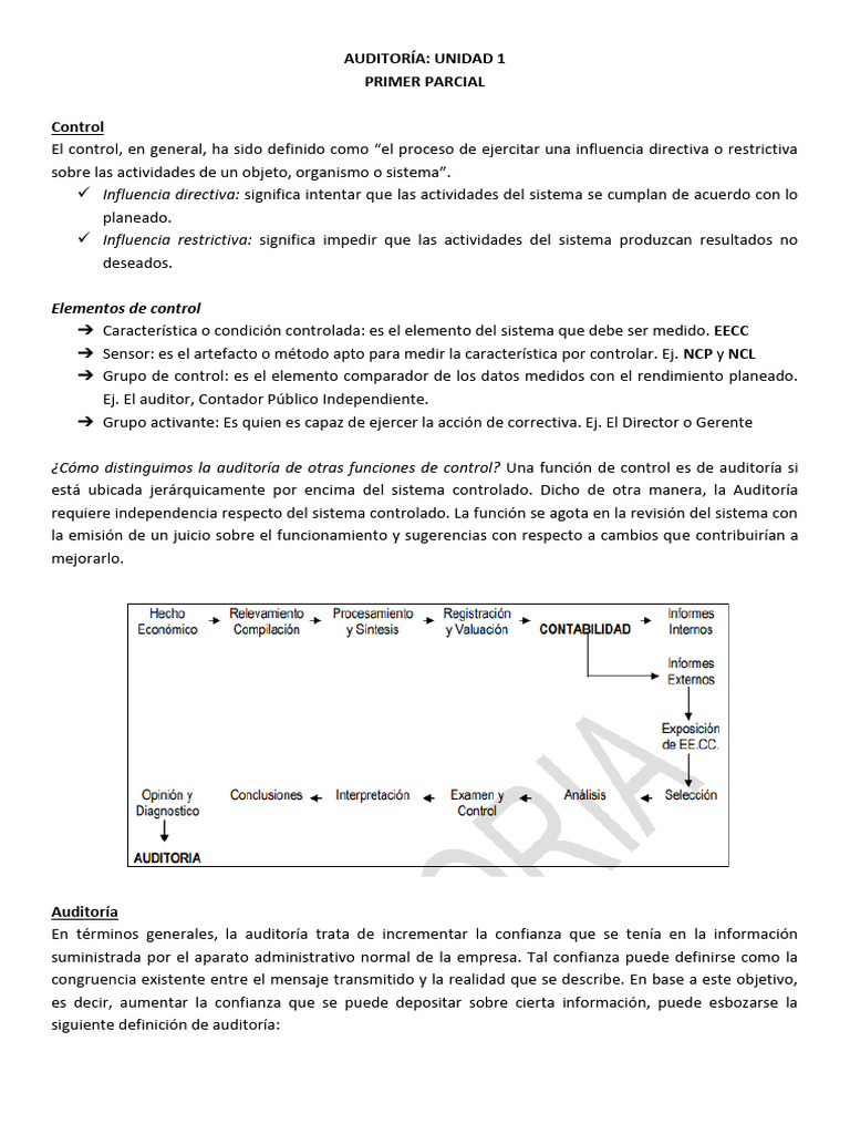 Elementos y Tipos de Auditoría | PDF | Auditoría | Contralor