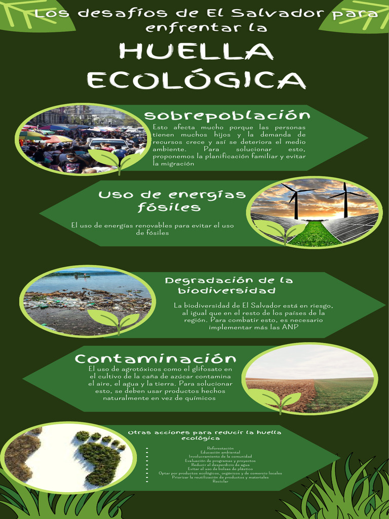 Infografias de Huella Ecologica | PDF
