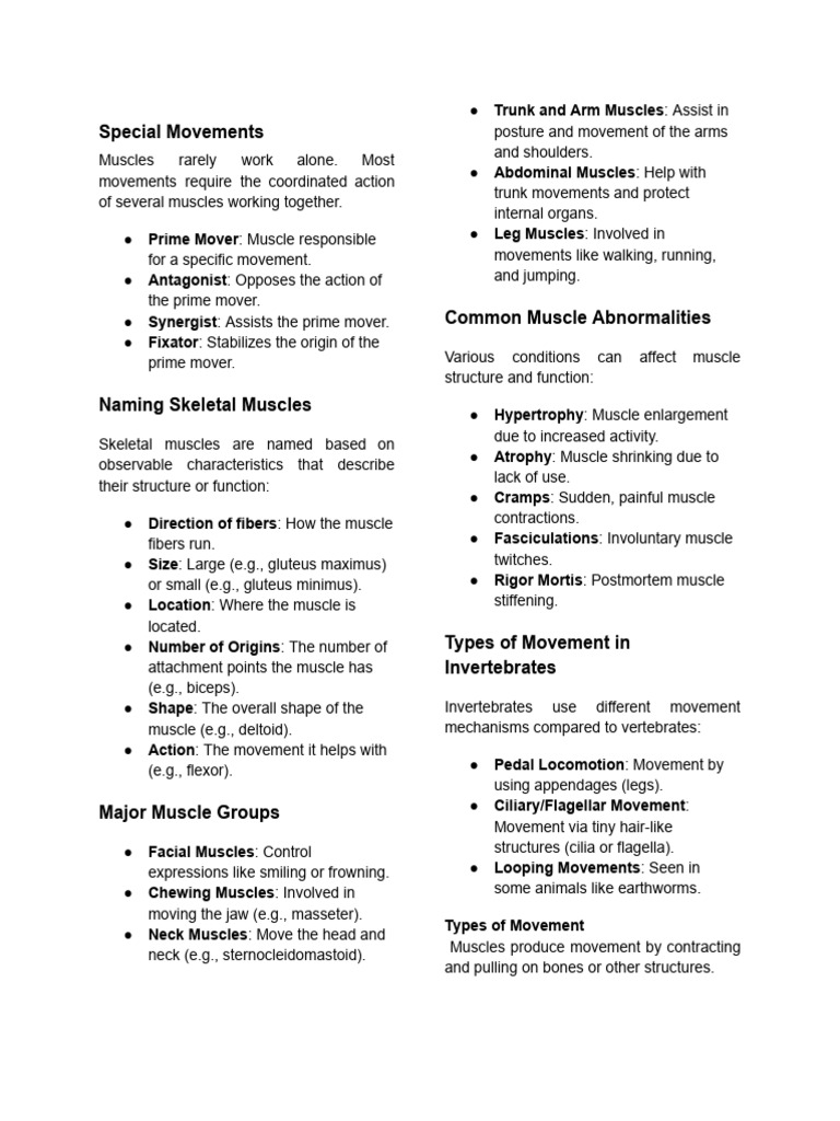 The Muscular System (3) | PDF | Anatomical Terms Of Motion | Skeletal ...