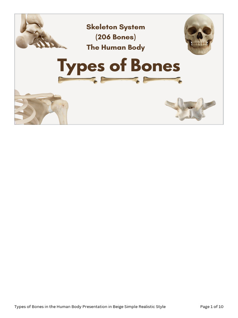 Types of Bones in the Human Body Presentation in Beige Simple Realistic ...