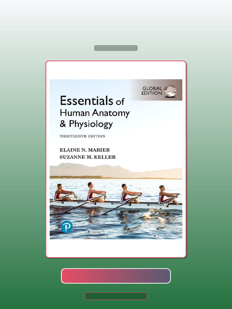 Test Bank for Essentials of Human Anatomy Physiology 13th Edition ...