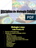 Biologia - Tipos de Microscópios