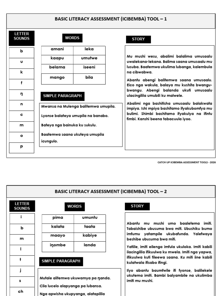 Literacy Sample Tools | PDF