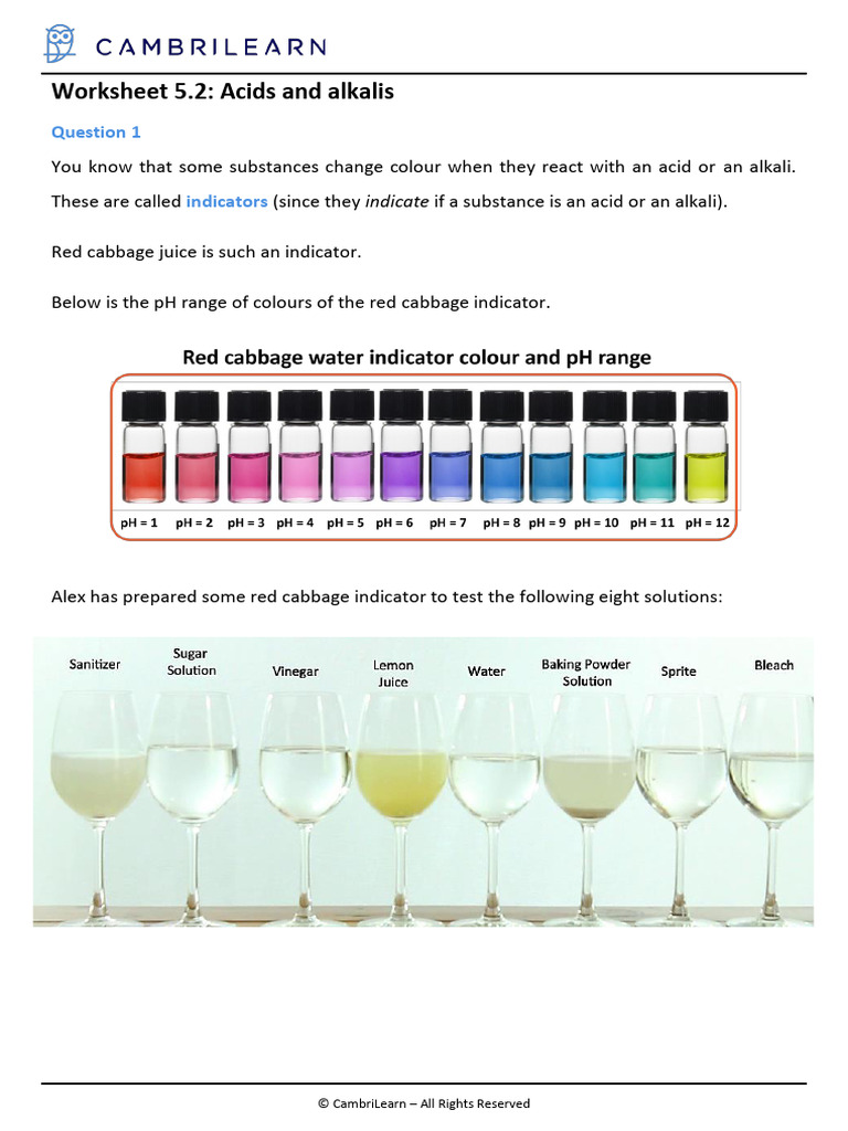 Worksheet 5 2 Acids and Alkalis | PDF | Ph | Acid