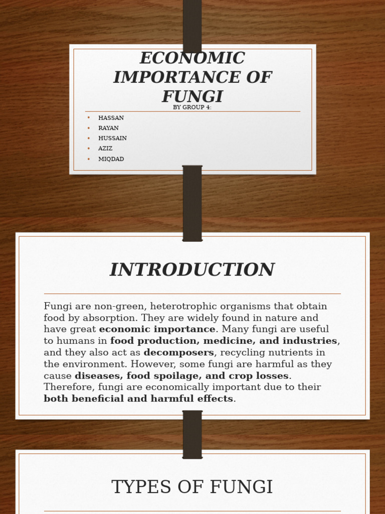 Economic Importance of Fungi | PDF | Cheese | Mushroom