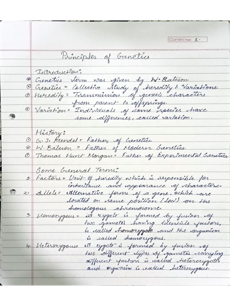 MD File Genetics | PDF