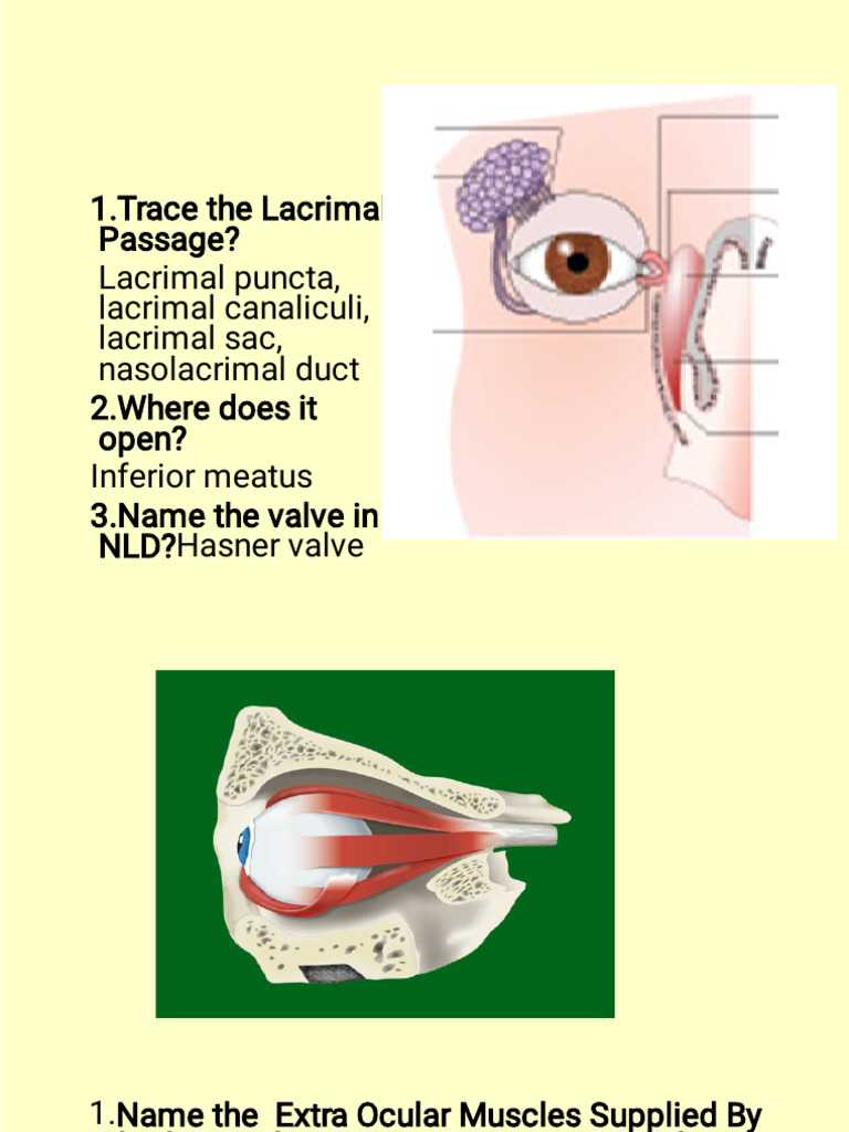OPHTHAL Osce With Answers-Corrected-1(1)_250725_131016 | PDF | Glaucoma ...