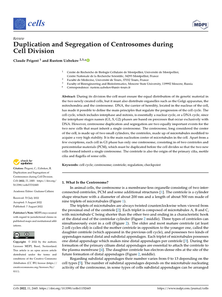 Duplication and Segregation of Centrosomes During | PDF | Mitosis ...