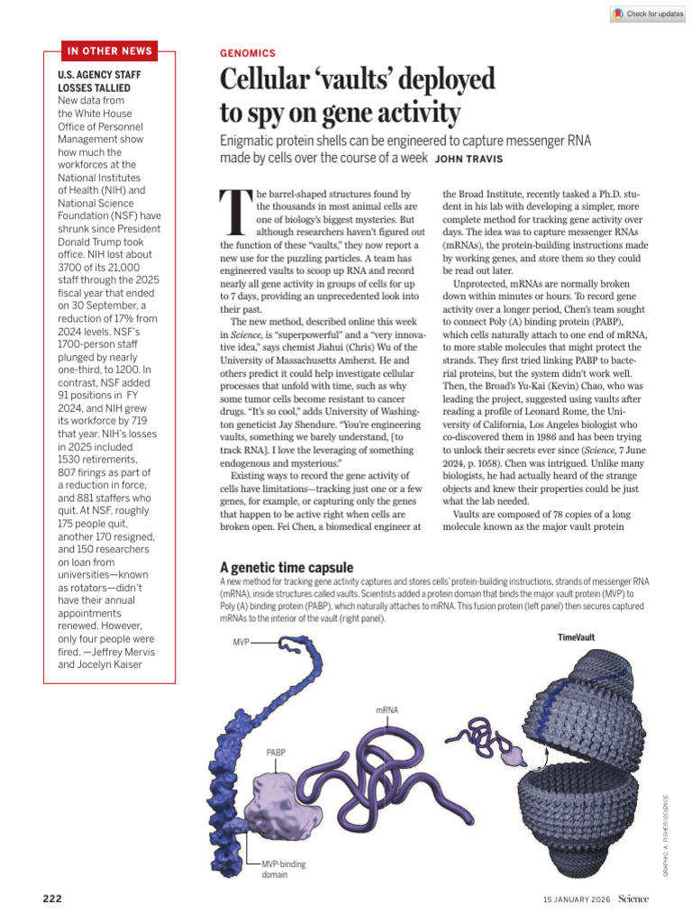 Engineered Vaults Track Gene Activity | PDF | Messenger Rna | Gene