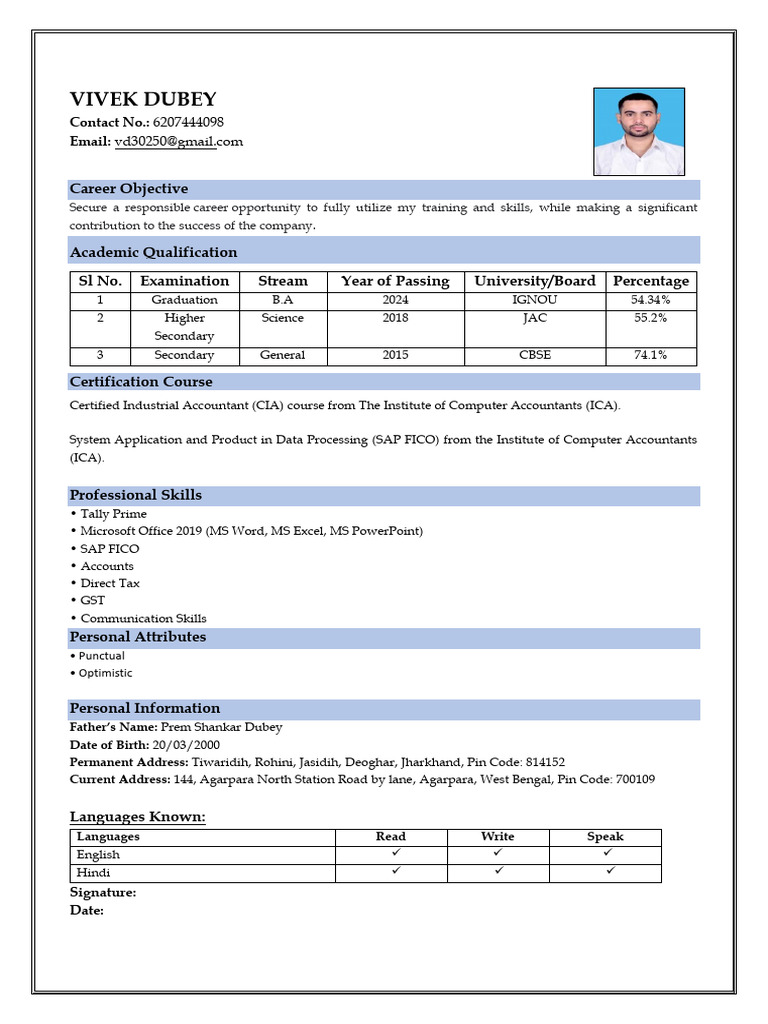 Vivek Dubey Resume Format (T) Copy - Copy | PDF