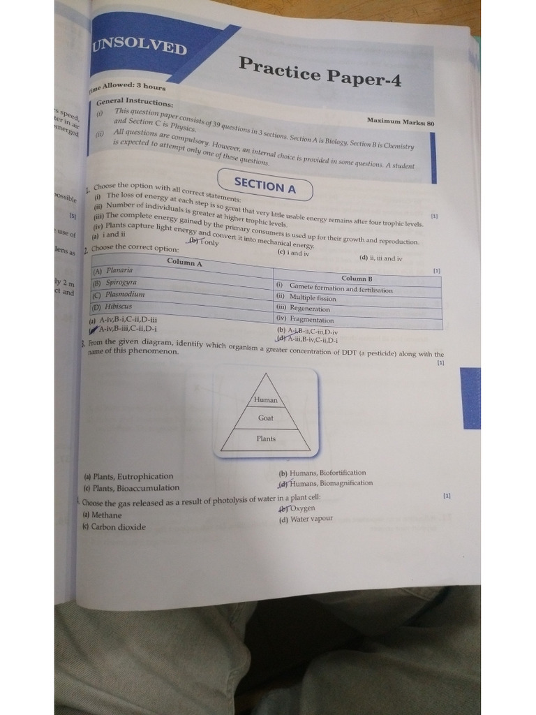 Practice Paper 4 | PDF