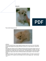Download Tips Merawat Anjing Mini Pom Dan Kulit by Ido Damos Joel SN98254305 doc pdf