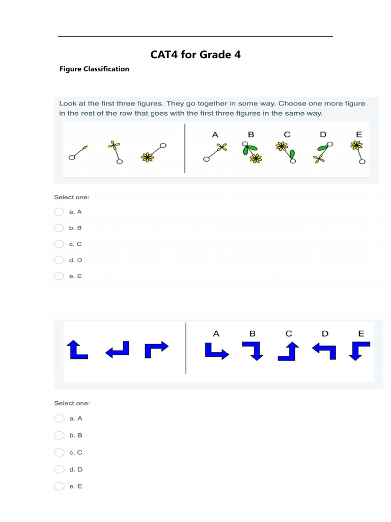 CAT4 for G4-04-Figure Classification 1 | PDF