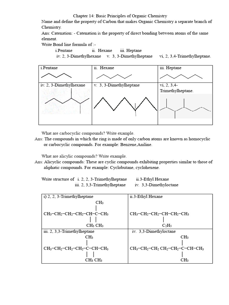 Organic Chemistry Basics: Carbon & Compounds | PDF | Isomer | Chemical Bond