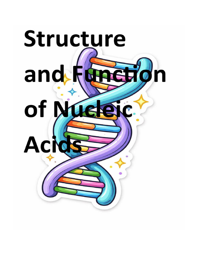 Structure and Function of Nucleic Acids BCH 305 | PDF | Genetic Code ...