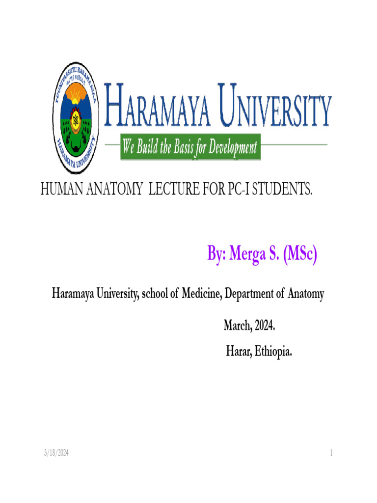 Human Anatomy Lecture Overview | PDF | Anatomical Terms Of Motion ...