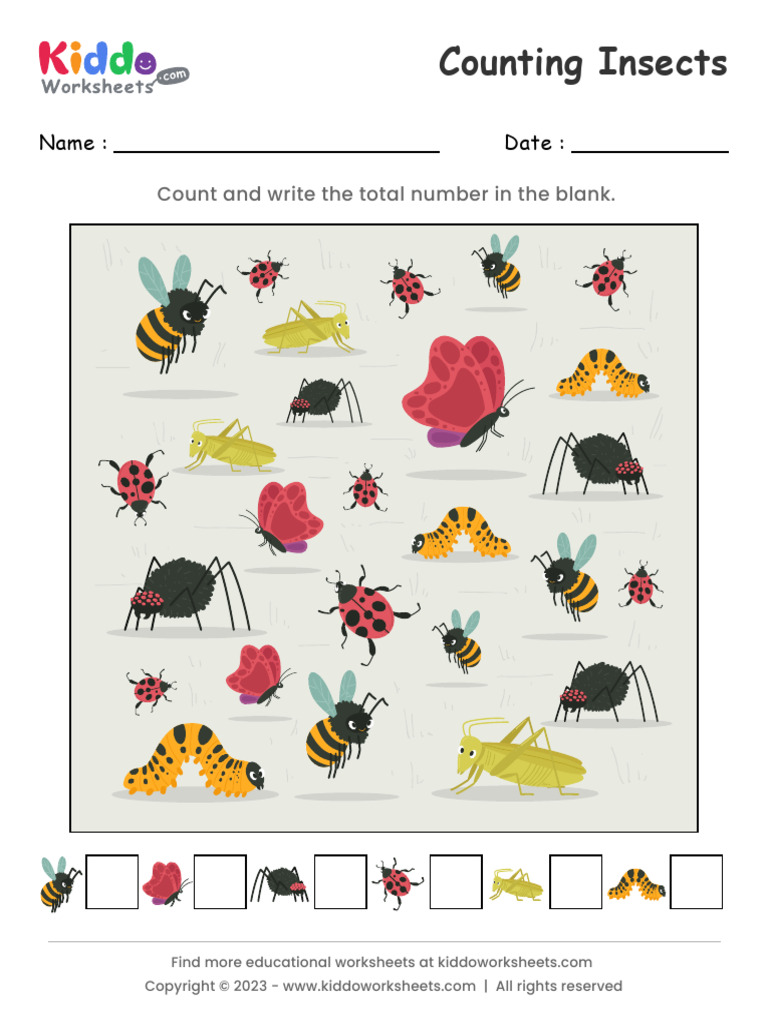 Counting Insects Worksheets | PDF