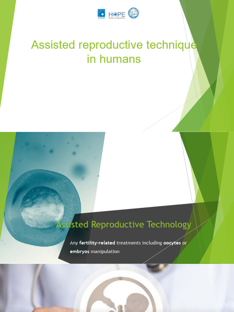 Doctor Vu | PDF | Assisted Reproductive Technology | In Vitro Fertilisation