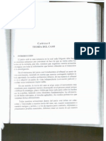 Litigación Oral - Teoría Del Caso