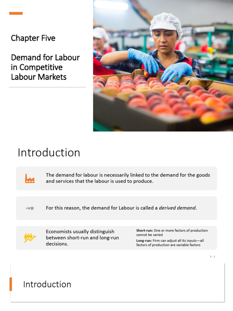 Chapter 5 | PDF | Labour Economics | Elasticity (Economics)