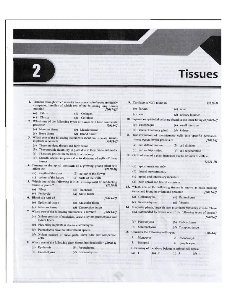 Selfstudys Com File | PDF